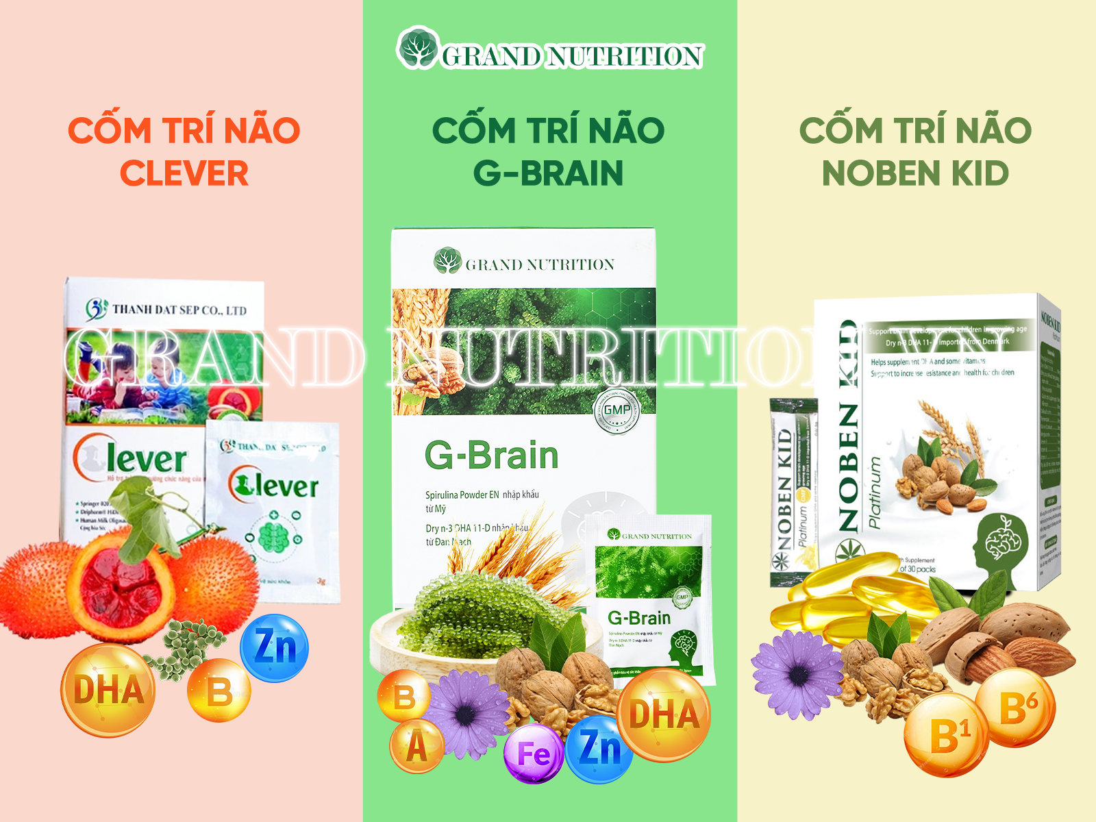 Phân biệt Top 3 Cốm trí não G-Brain với Noben kid và Clever đầy đủ nhất